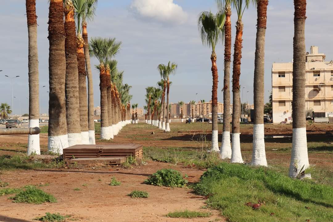 d633ace9-329f-40be-b0a7-7f55e9fe11b9