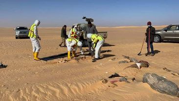 150841290_426382948449372_2562454706193597272_n