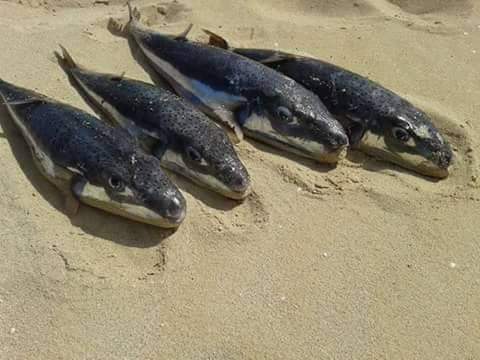 422f4135-af97-46b3-a863-5c5946c02e8b