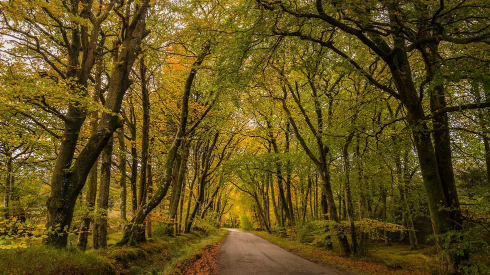 c980608c-2d76-4561-9ce2-85a299a7c0e4