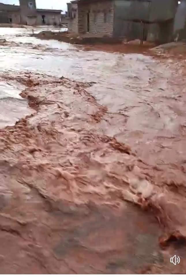 250690755_1131692160695232_5767700714066597775_n