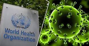 411c72ff-97ee-48bf-934b-d20e681fa3b2