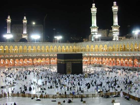 55bf8e02-bd30-4583-a0bd-49a7f49c4803