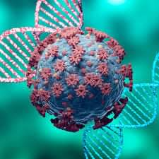 5f891410-6c91-466d-b55f-6a13100cb196