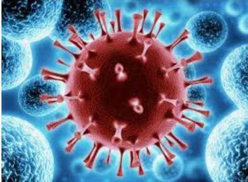 69f24b29-2ec1-4784-bfcd-c246da9d281d