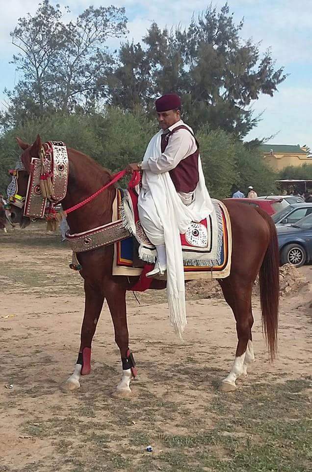 WhatsApp Image 2023-04-17 at 12.54.29 AM