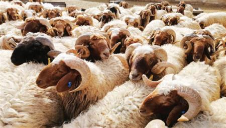 E24F0A47-C608-4F0E-85A0-9B3BC8828102