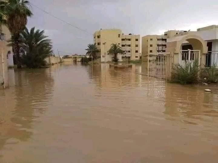 WhatsApp Image 2024-08-16 at 6.31.13 PM