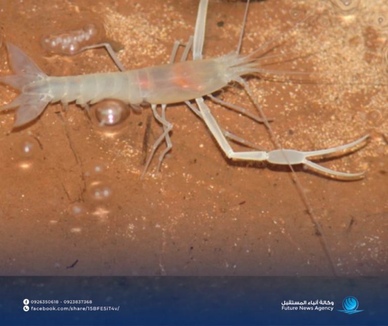 تصميم بدون عنوان