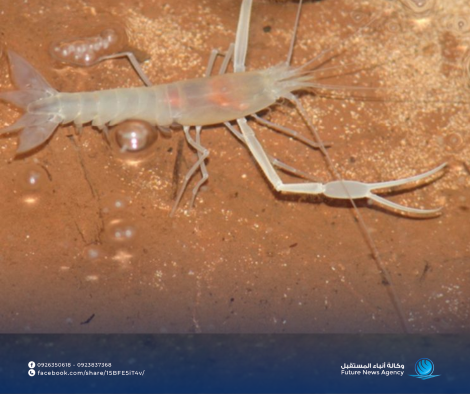 تصميم بدون عنوان