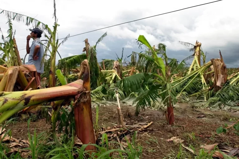 AP01101102707-1747031887