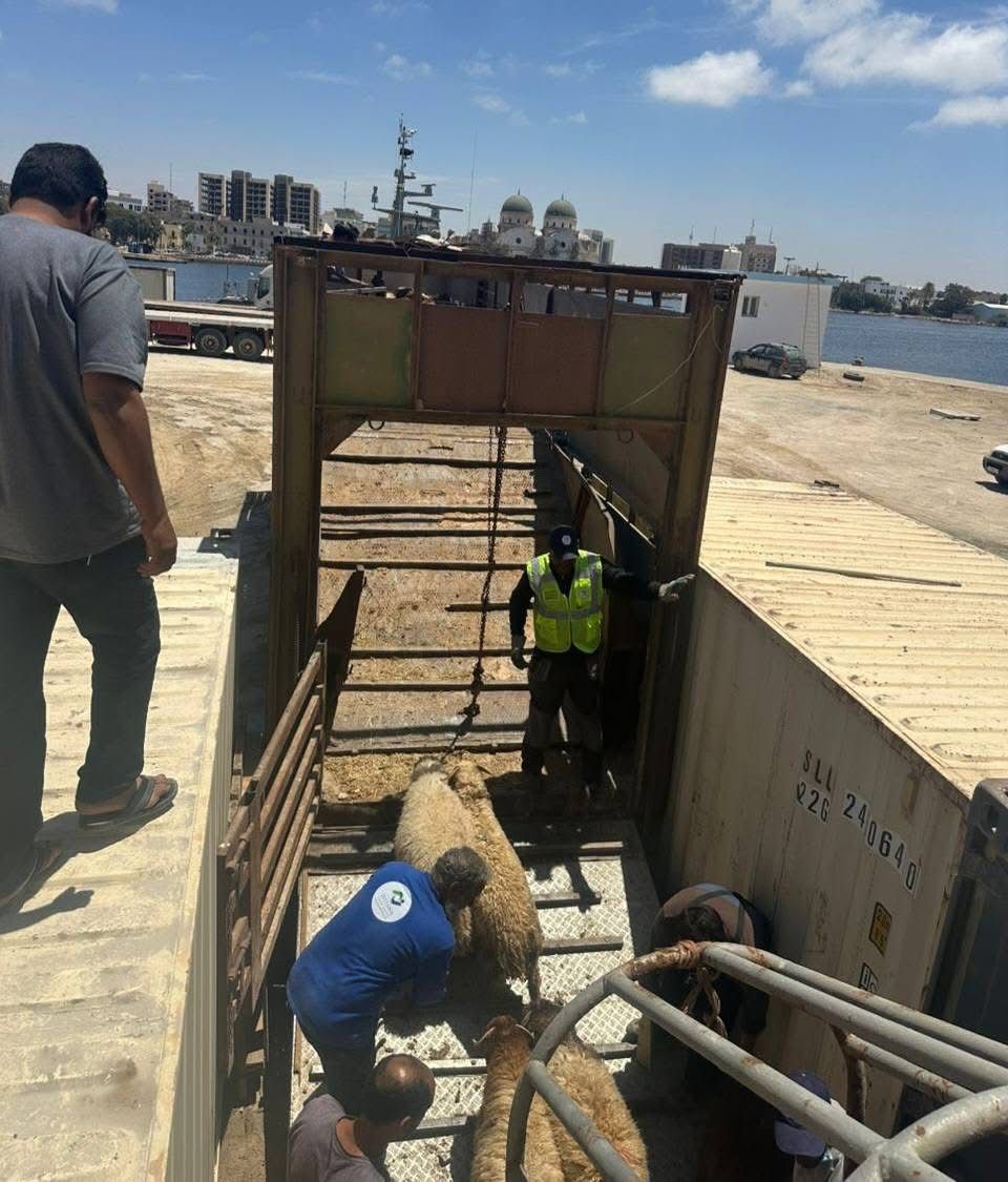 WhatsApp Image 2025-05-18 at 17.30.24 (1)