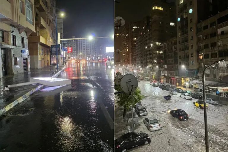 22516669-ea7a-46d1-b085-d7d252589c3d